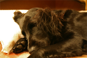 c0010769_23115557.jpg