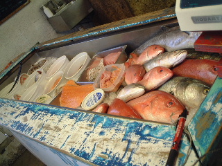 b0001284_610286.jpg