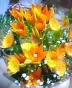 a0013905_08358.jpg