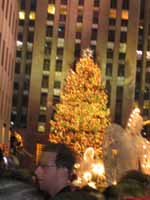 b0059509_11184097.jpg