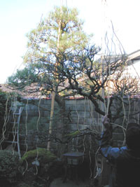 b0033490_17385624.jpg