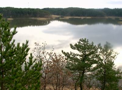 b0035611_23115887.jpg