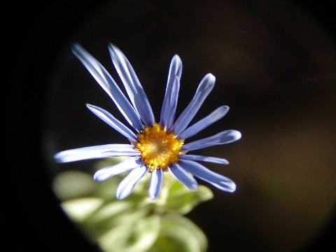 a0004023_16468.jpg