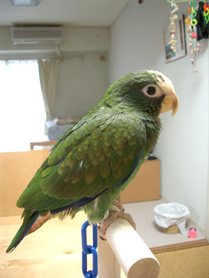 c0004078_13425656.jpg