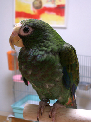 c0004078_14172828.jpg