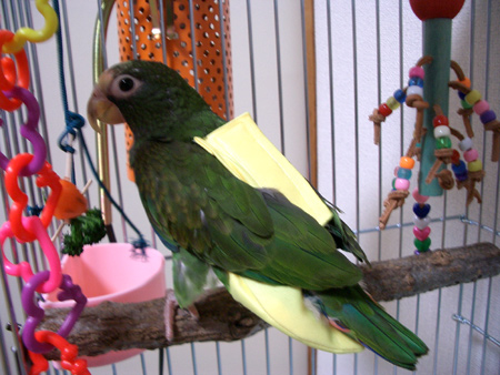 c0004078_1419025.jpg