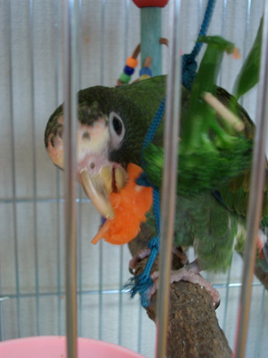 c0004078_14254588.jpg