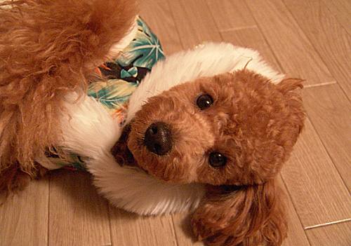 a0016311_05144.jpg