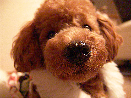 a0016311_082539.jpg