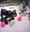 b0046357_0141823.jpg