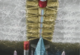 a0008459_0273736.gif