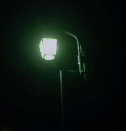 b0015260_5543830.jpg