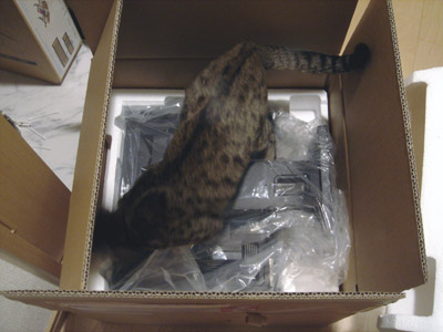 a0001964_2025991.jpg