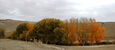c0009070_550511.jpg