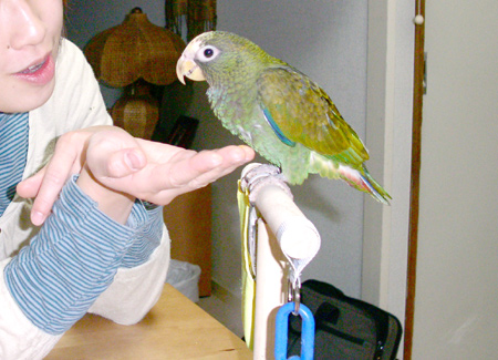 c0004078_14143385.jpg