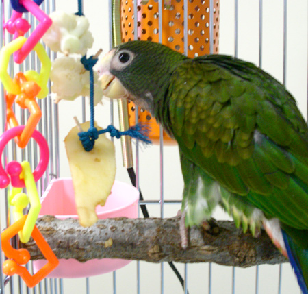 c0004078_14293040.jpg