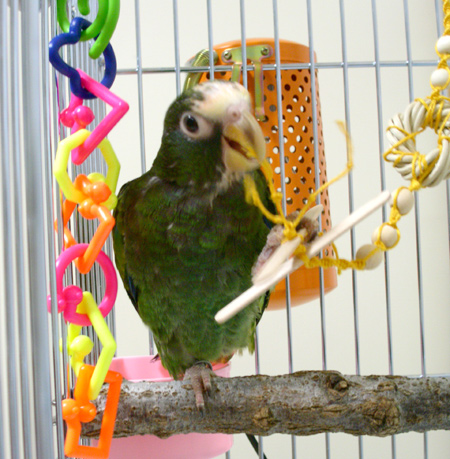 c0004078_1435757.jpg