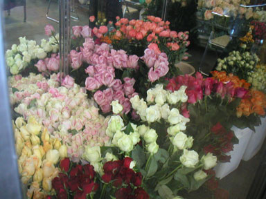 a0015110_044887.jpg