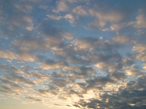 a0034419_12343581.jpg