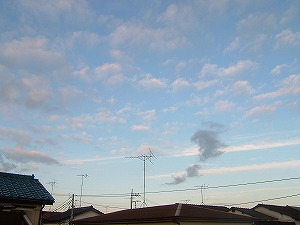 a0034419_1235712.jpg