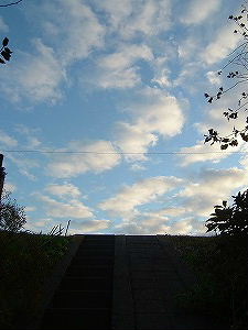 a0034419_12463922.jpg