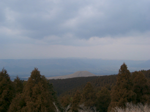 b0060919_6183238.jpg