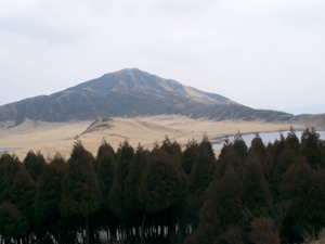 b0060919_6195860.jpg