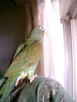c0004078_17373034.jpg