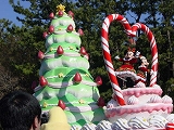 a0011635_15405817.jpg