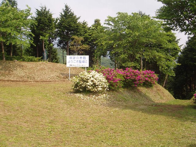 c0012640_20441930.jpg