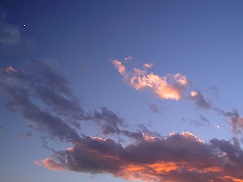 a0018146_4324436.jpg