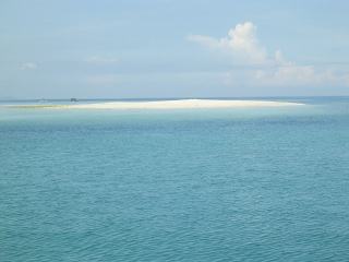 a0019117_953309.jpg