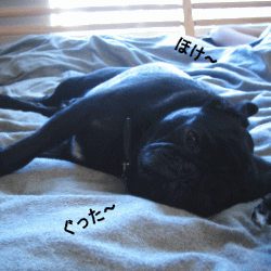 b0035453_10194748.gif