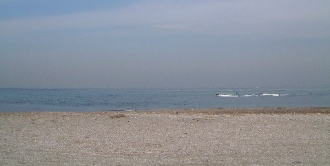b0045357_1127458.jpg