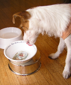b0065067_1245735.jpg