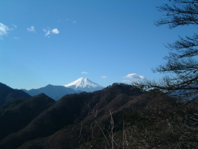 a0005691_514145.jpg
