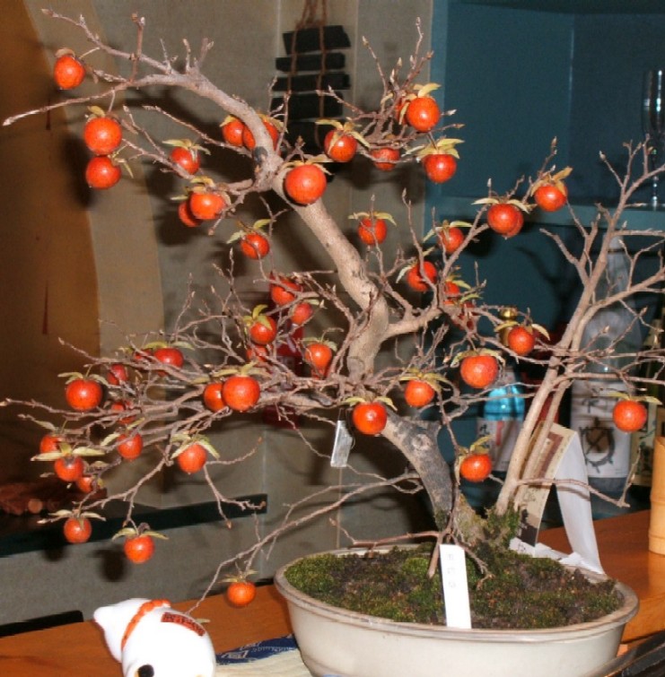 c0004750_1711288.jpg