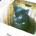 b0061261_21455647.jpg
