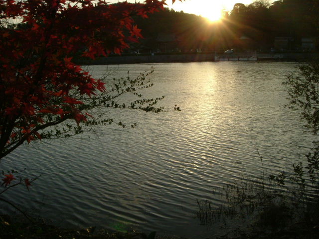 b0055171_22135916.jpg