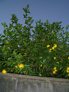 a0033234_19342957.jpg