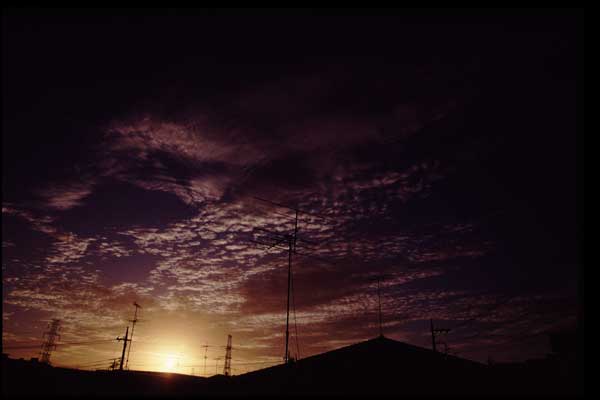 c0008343_23265413.jpg