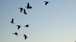 a0034419_1326252.jpg
