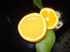c0007822_933984.jpg