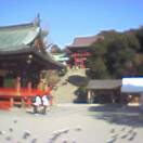b0008526_21513812.jpg