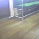 b0008526_221971.jpg