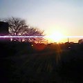 c0013343_1813436.jpg