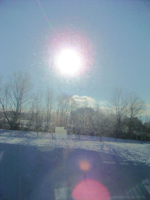 b0038588_2283854.jpg