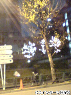 b0061047_27650.jpg