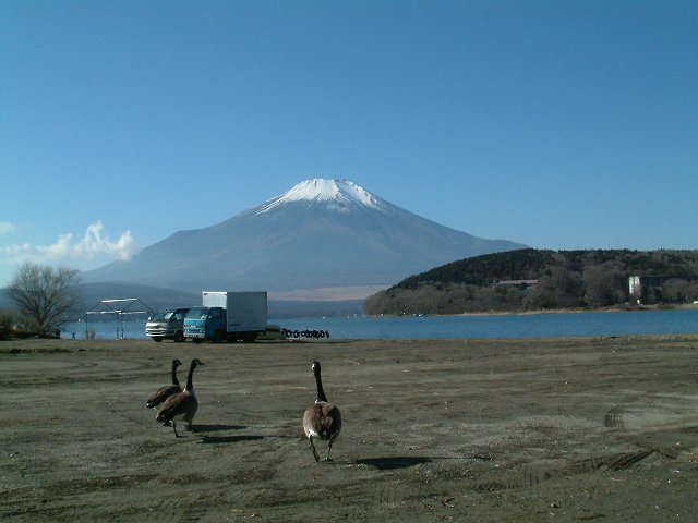 b0070657_1559762.jpg