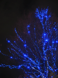 b0015891_2136843.gif